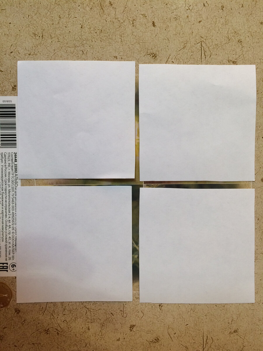 Вырезаем 4 квадратика.