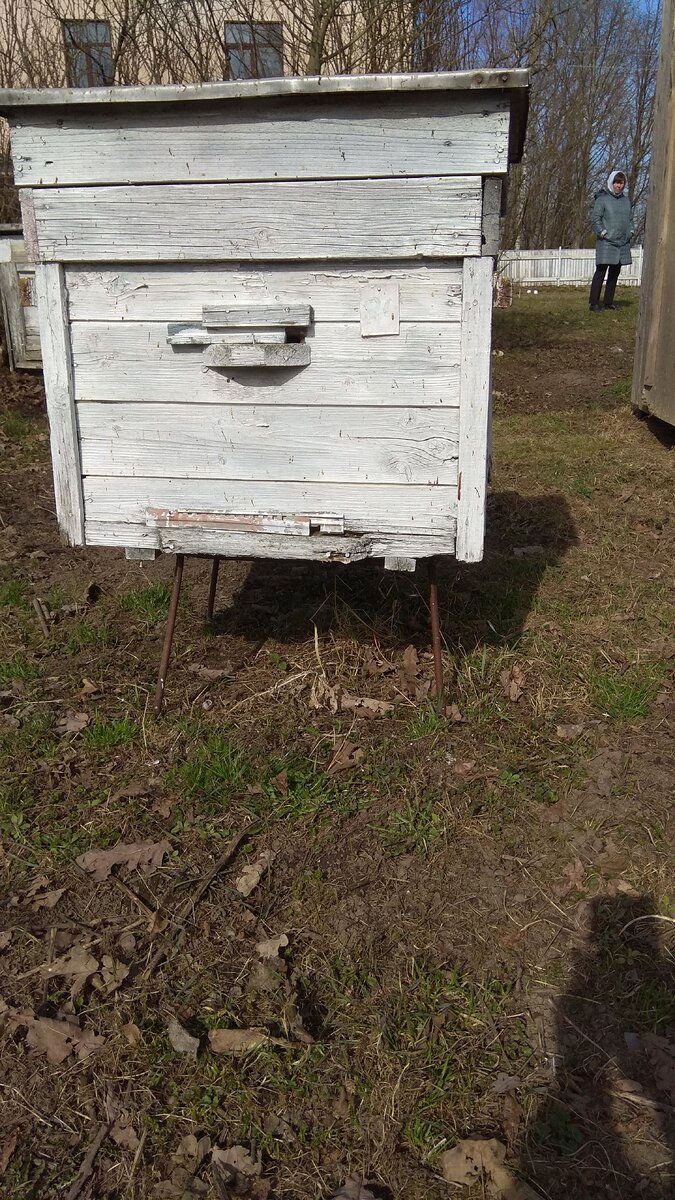 Вот такой улей я приобрёл у Михаила. На заднем плане его дом на Пулковских высотах.