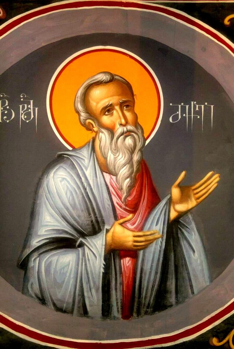 Из открытых источников Яндекса.