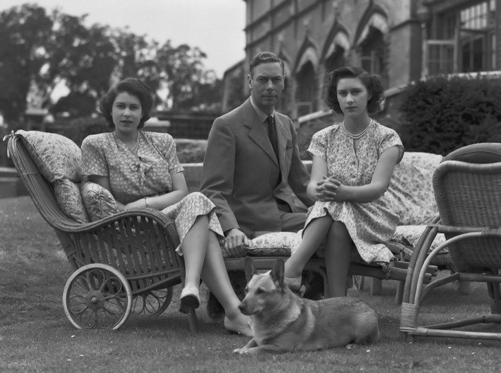 первая собака Елизаветы