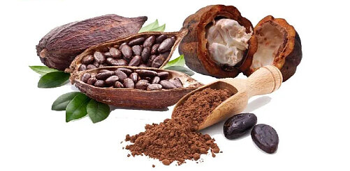 Множество элементов в составе какао способствуют укреплению и восстановлению суставов и костей