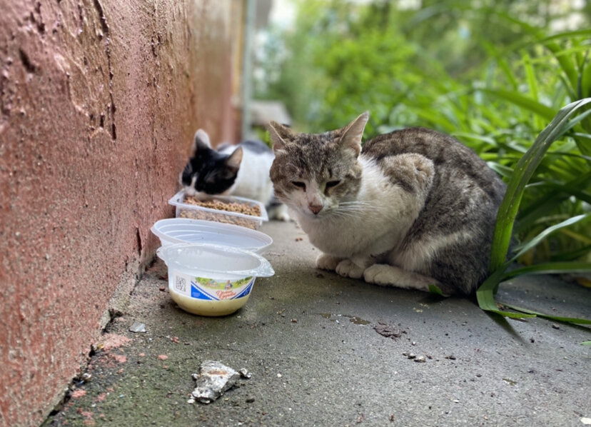 Василий в одну из первых встреч
