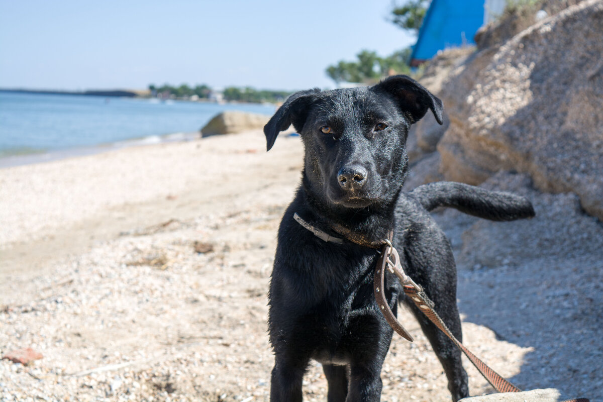 Наш Граф на Азовском море