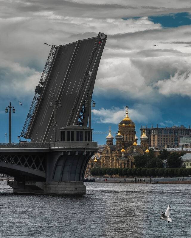 Благовещенский мост в санкт петербурге