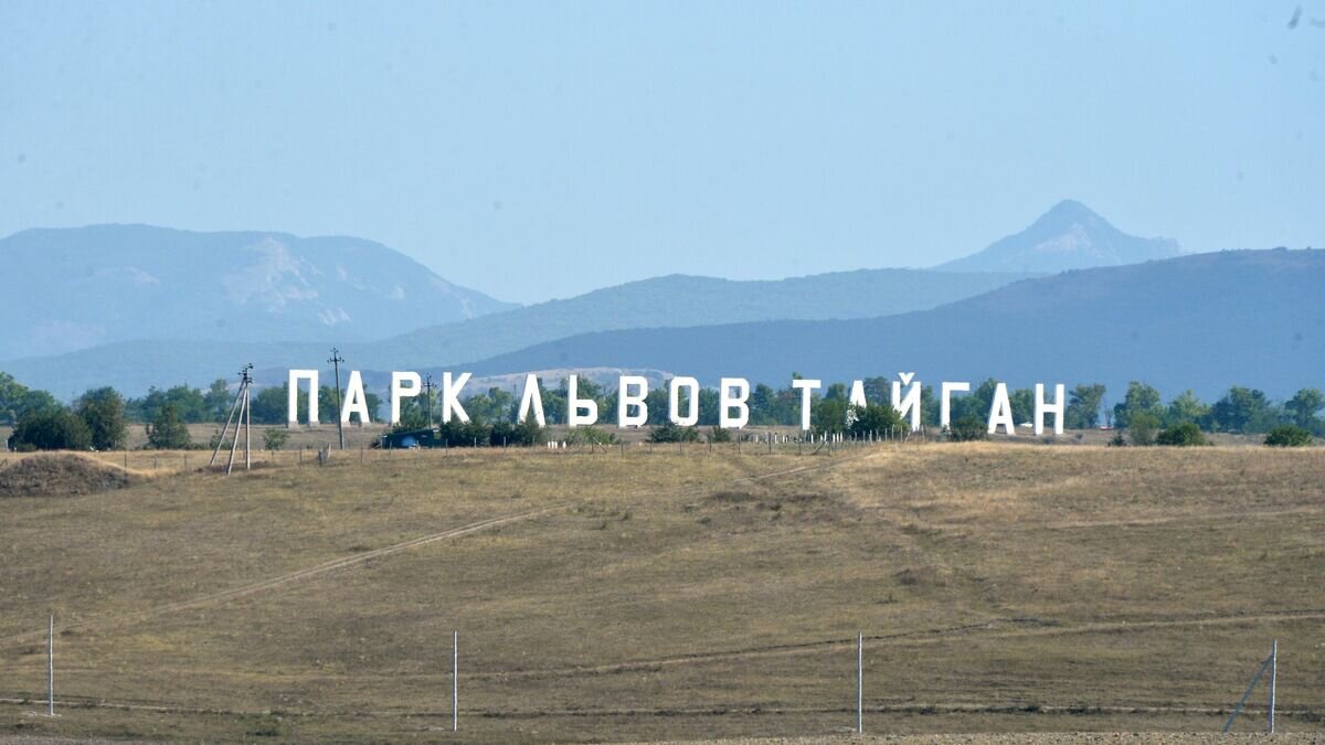    Сафари-парк "Тайган" в Белогорском районе© РИА Новости / Георгий Зимарев