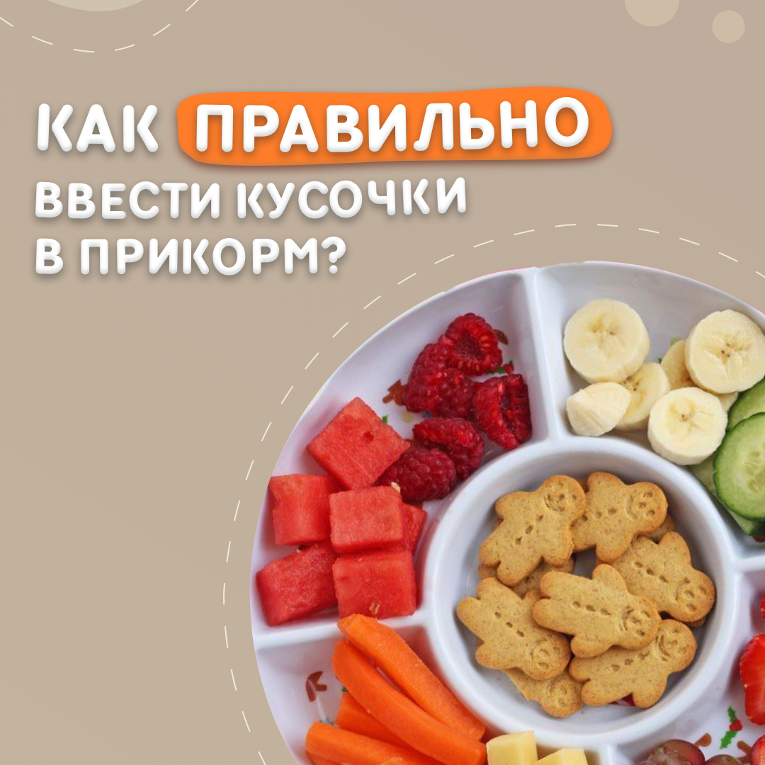 Как вводить кусочки. Как правильно вводить кусочки в прикорм. Безопасные кусочки в прикорме. Введение кусочков в прикорм. Правильная подача прикорма кусочками.