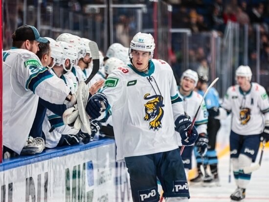     Фото: ХК "Сочи"