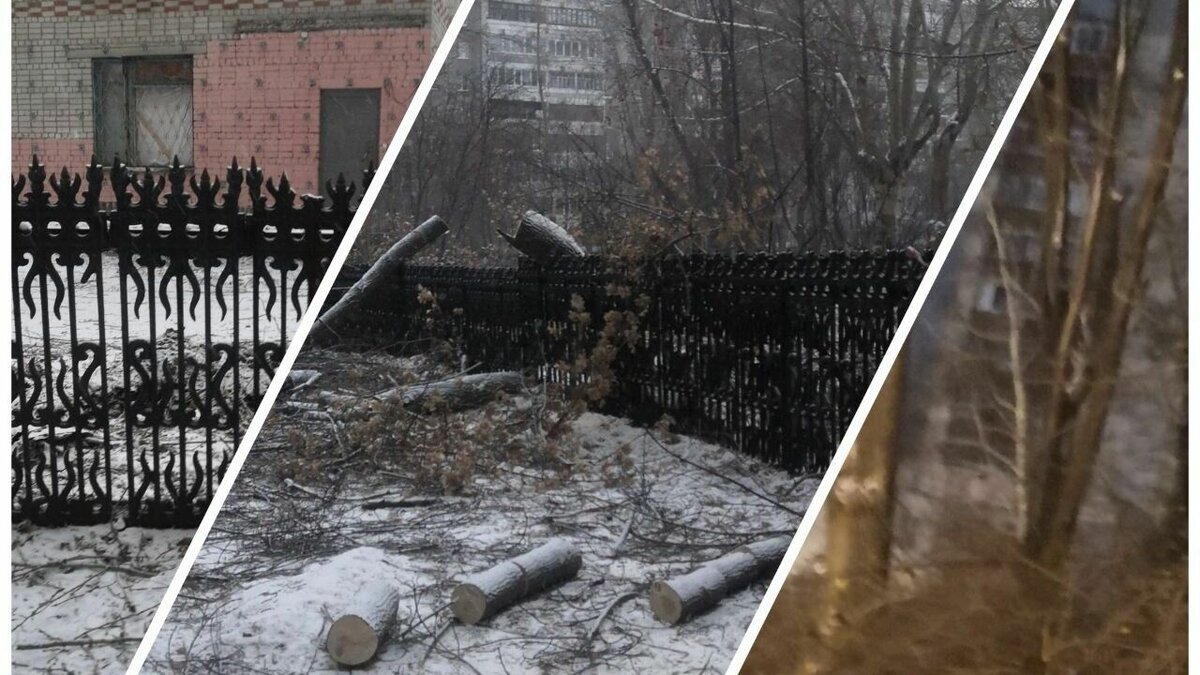     Тюменские власти пояснили, с какой целью была проведена вырубка зеленых насаждений на территории детского сада № 78. Как выяснилось 29 деревьев и 5 кустарников пришлось ликвидировать в связи с работами по реконструкции дошкольного учреждения.