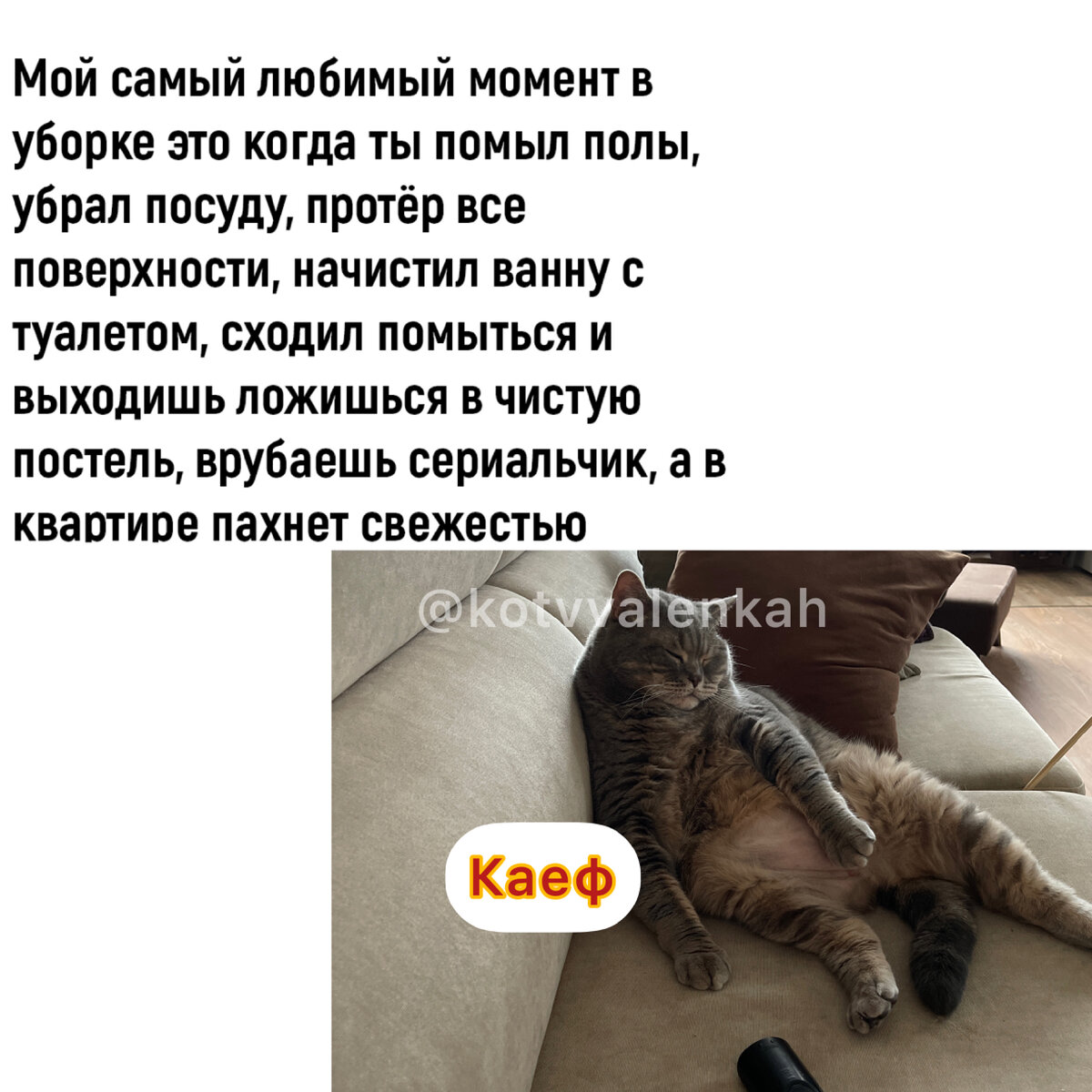 Мемы предпоследней субботы этого года 😻 | Кот в валенках Марсель | Дзен