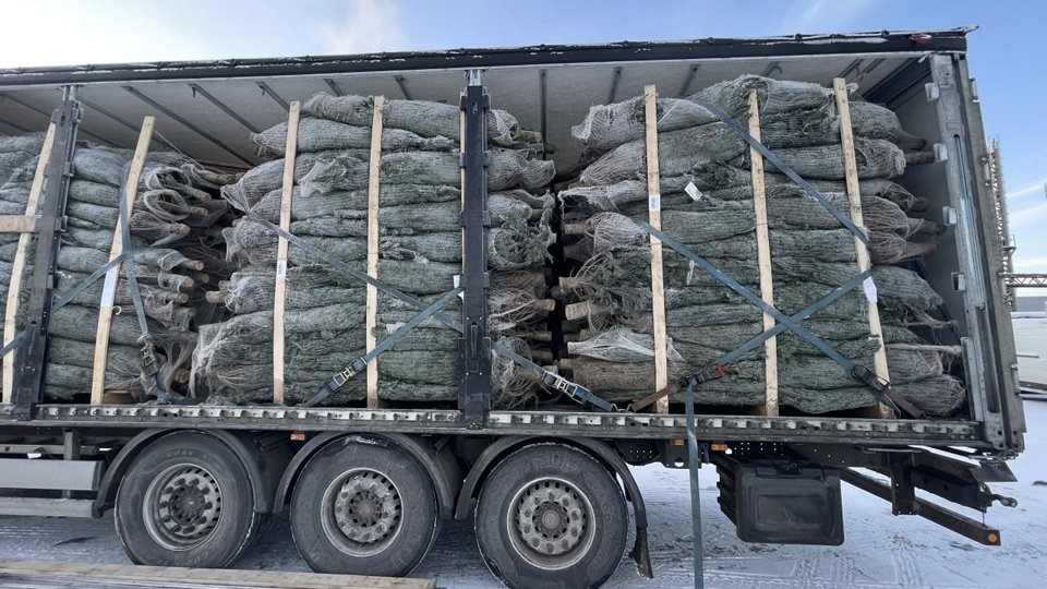    Фото: пресс-служба ФТС России
