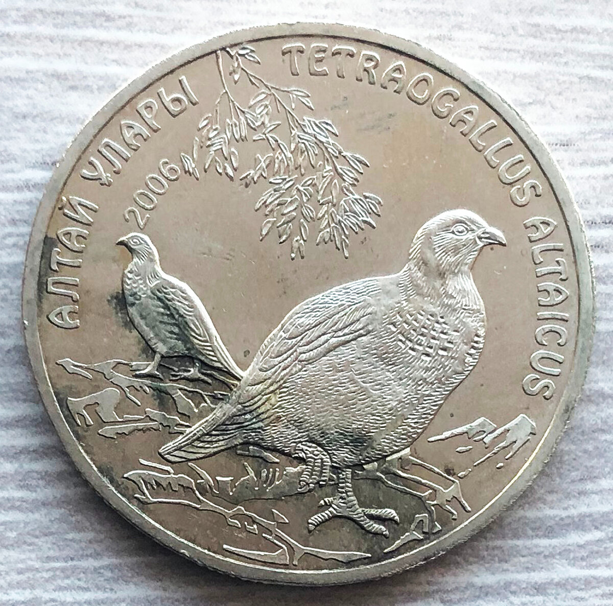 Казахстан 50 тенге 2006 Алтайский Улар. Фото автора.