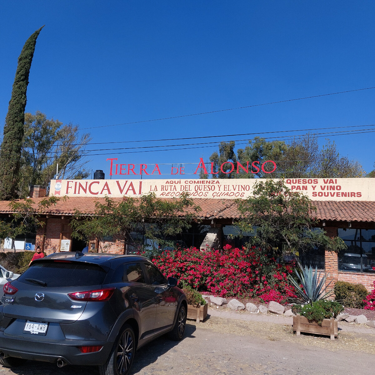 "Tierra de Alonso"(Земля Алонсо)