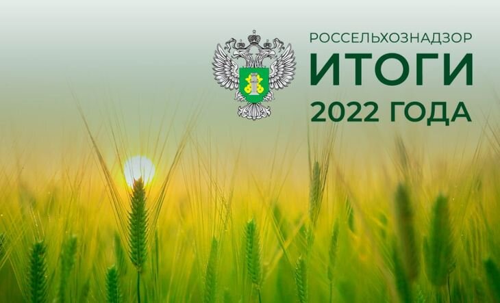    Зерновые итоги 2022 озвучил Россельхознадзор