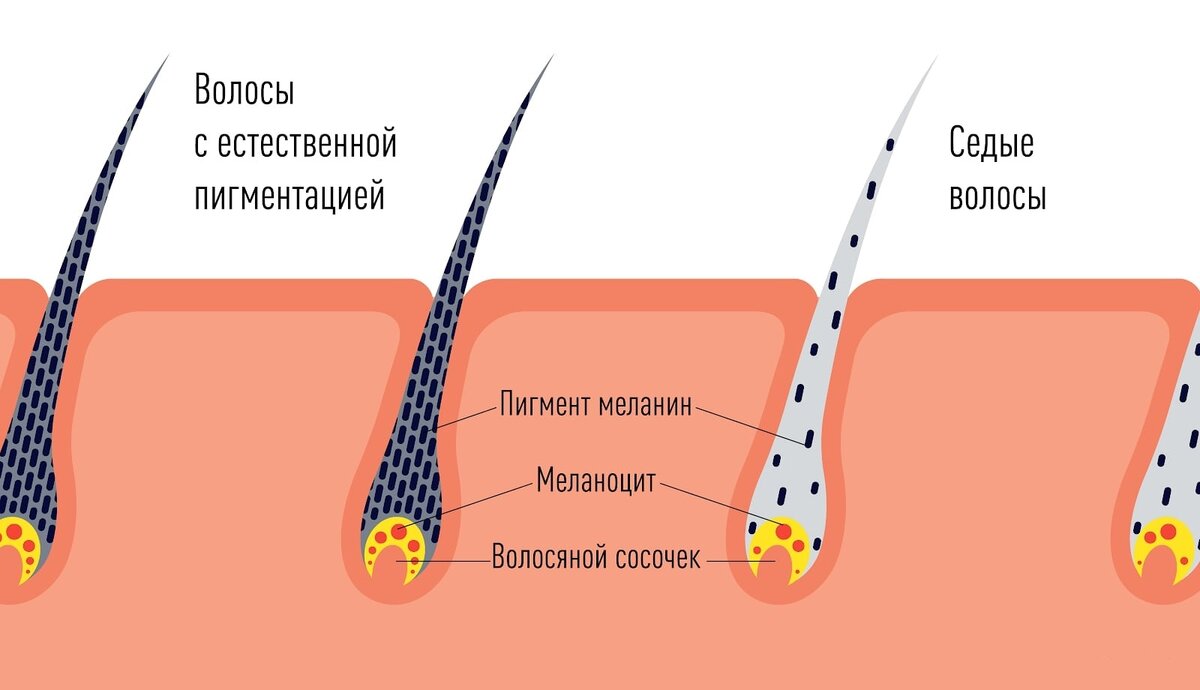 Источник: Яндекс-картинки