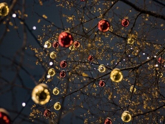     фото: pixabay.com