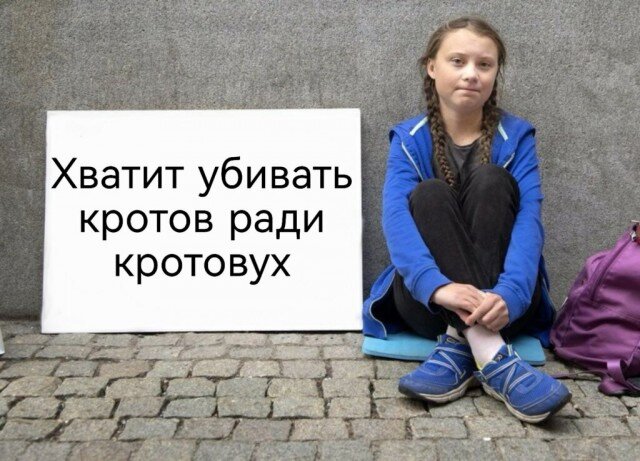 (иллюстрация из открытых источников)