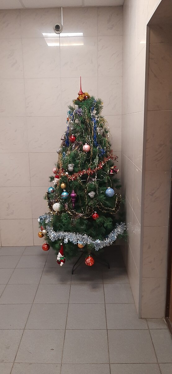 В холле парадной. Фото автора