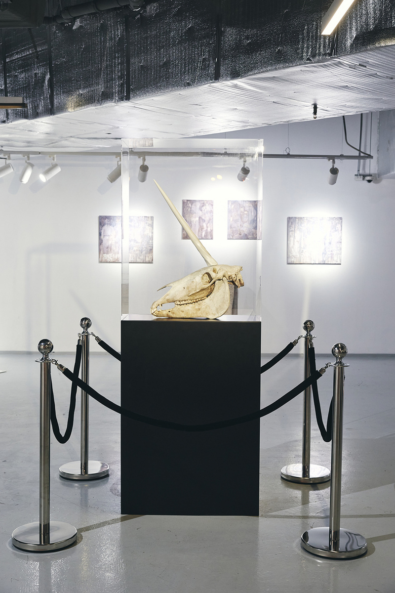   АРХИВЫ ПРЕСС-СЛУЖБ