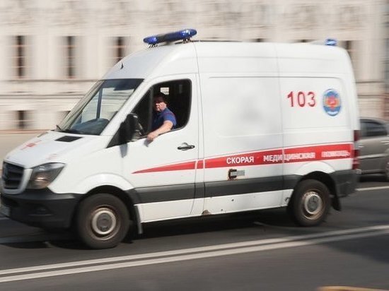     Artem Sobolev / GLOBAL LOOK