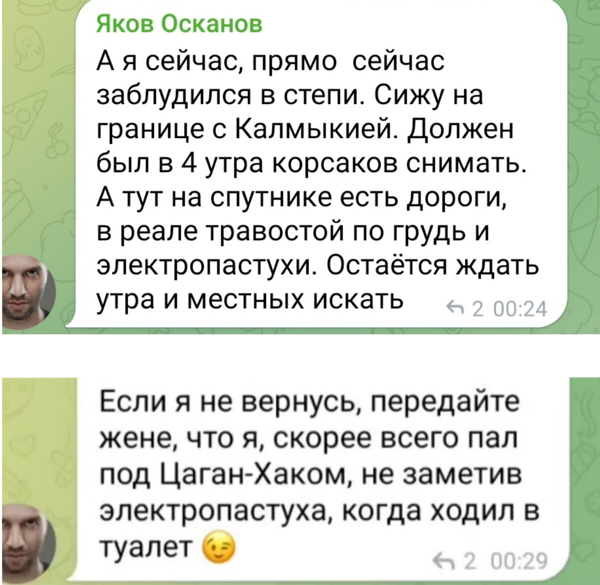 Почему это дерево такое разноцветное, и при чем здесь человек, дружбой с  которым я очень горжусь | Вредная тётка – Катерина Лебедева | Дзен