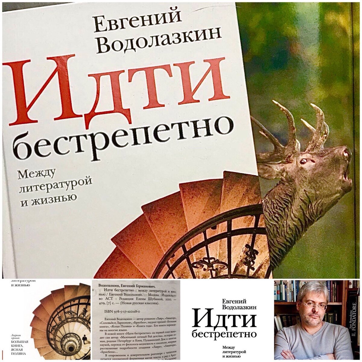 Цитаты Евгения Водолазкина из книги «Идти бестрепетно. Между литературой и  жизнью» | Василий Кобзарь | Дзен