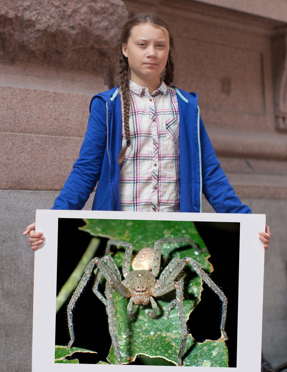 Greta Thunberg Syndrome