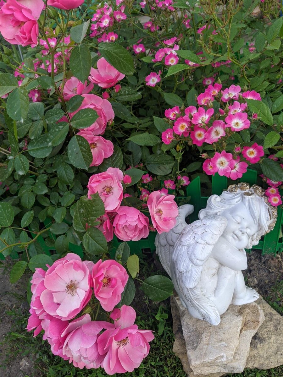 Ангела и Моцарт.2021 г 