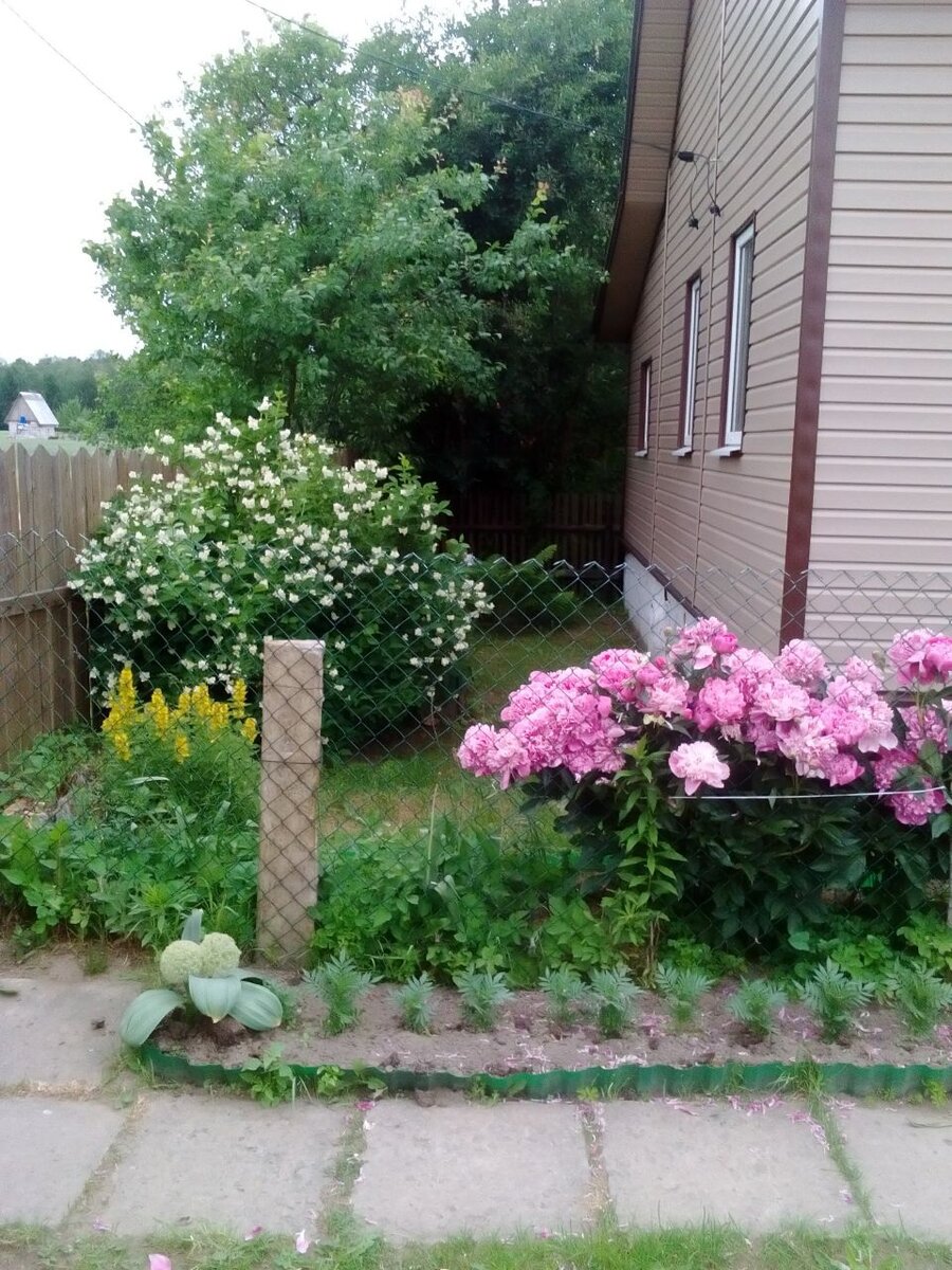 Это наш дом в деревне Беларуси