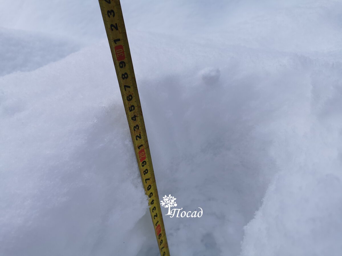 Дальше идёт 20 см тяжелого крупитчатого снега. Который ни разу не теплоизолятор.