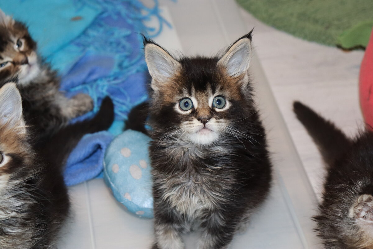 Фото из личного архива.