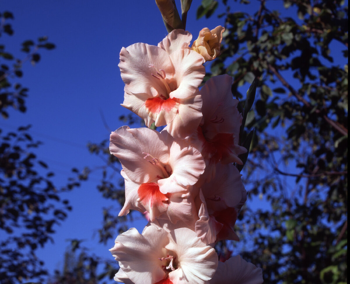 Konstantin Kokoshkin/Russian Look/Globallookpress