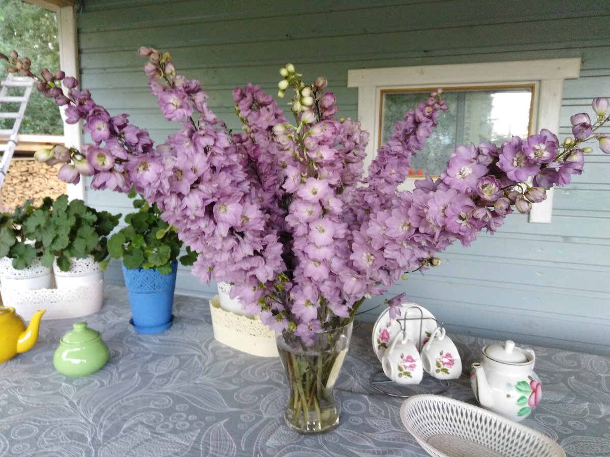 Очень люблю букеты из дельфиниумов