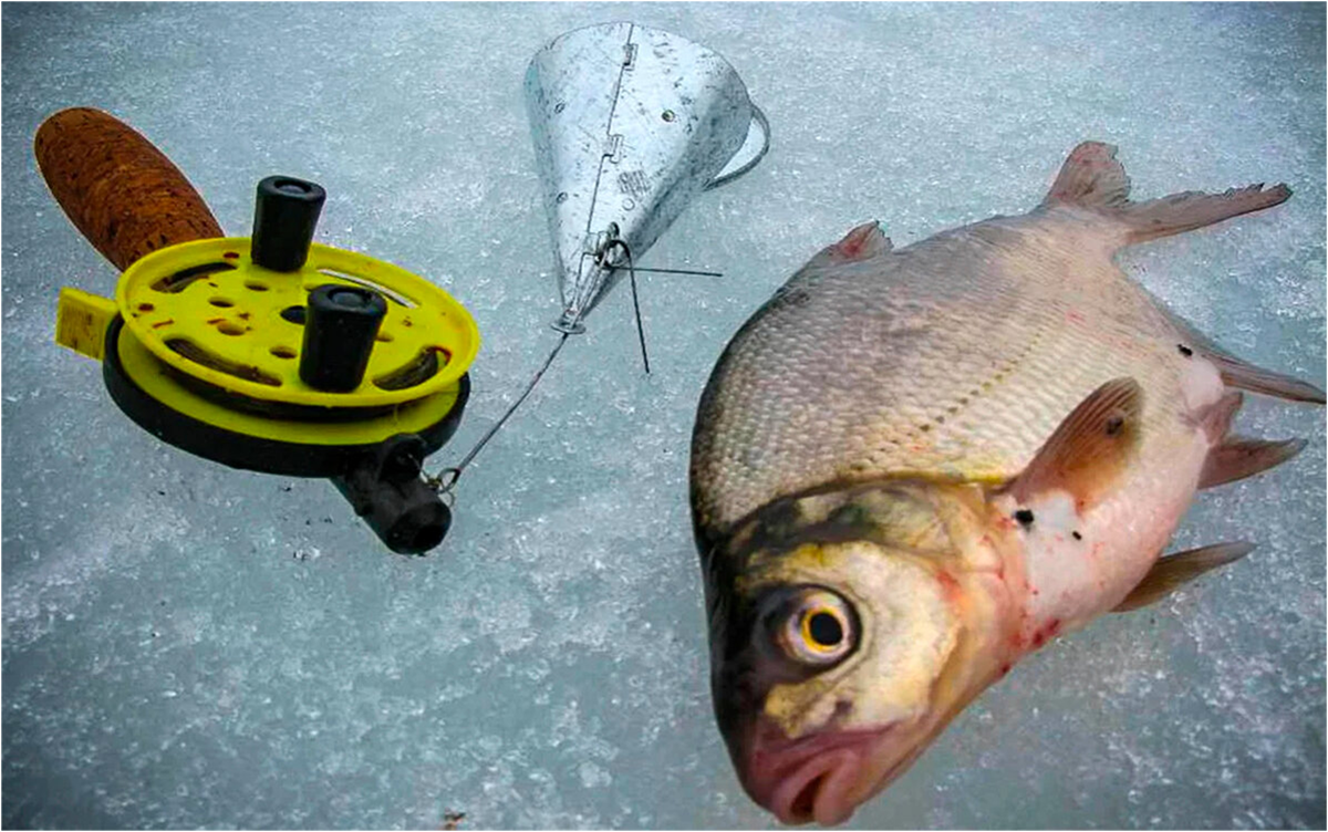 Fishing always. Ласкирь Черноморский. Ловля ласкиря. Морской ласкирь. Приманки на ласкиря.