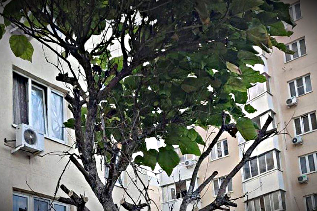 Жилой МКД, однокомнатая квартира обходится по услугам ЖКХ 5 100 рублей в месяц