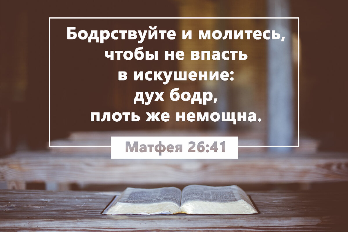 Источник: Яндекс. Картинки