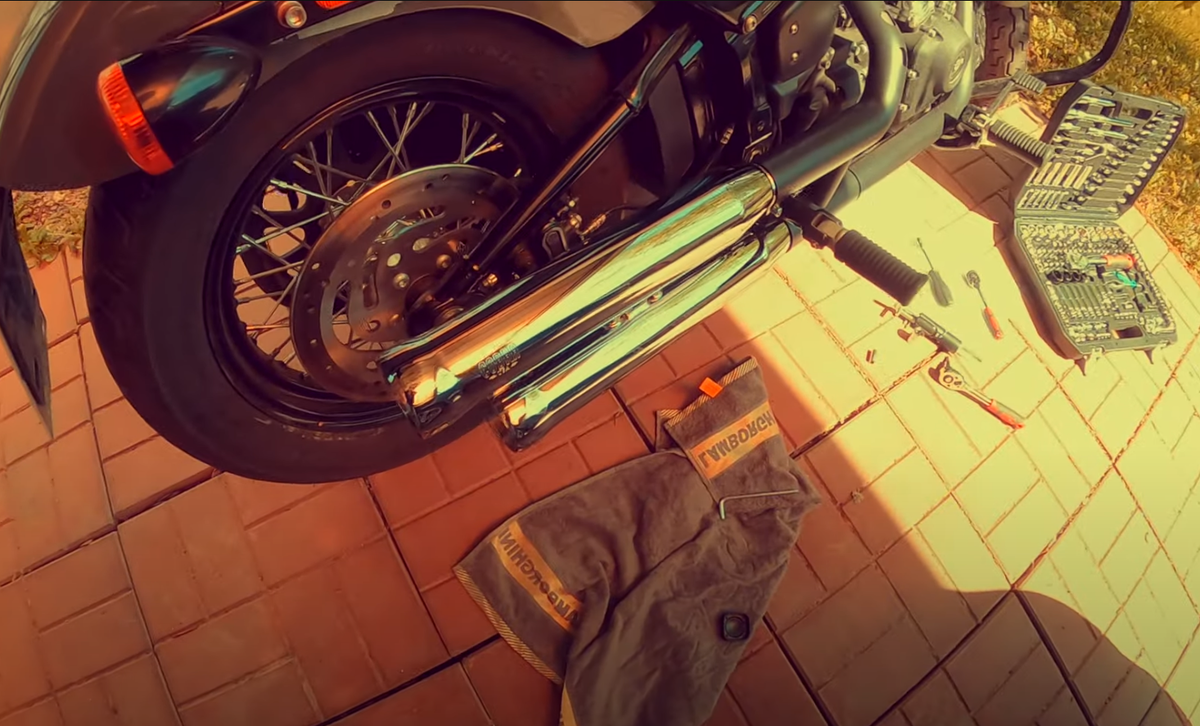 Божественный звук кобры 🐍