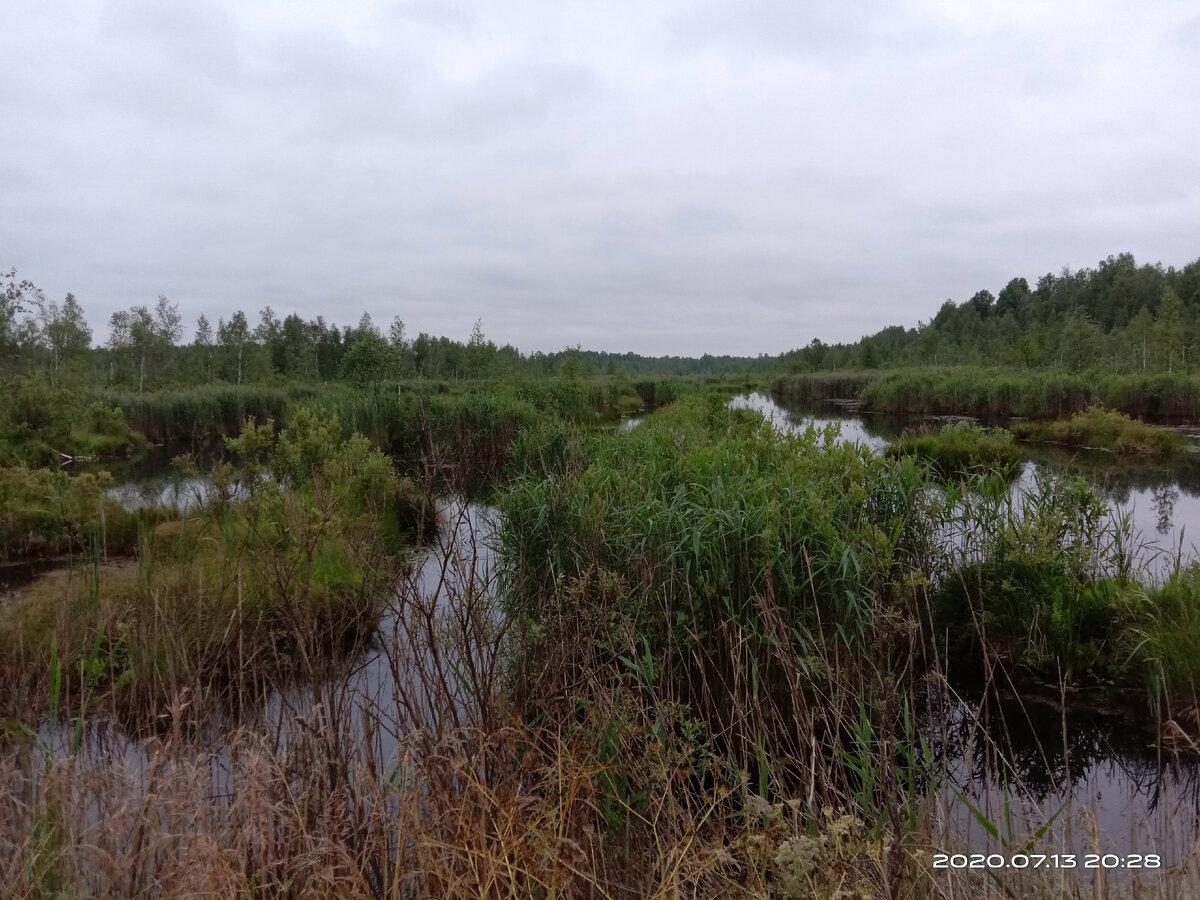 Неописуемая красота!  Жаль, что фото не в такой мере передает всю прелесть этих мест!