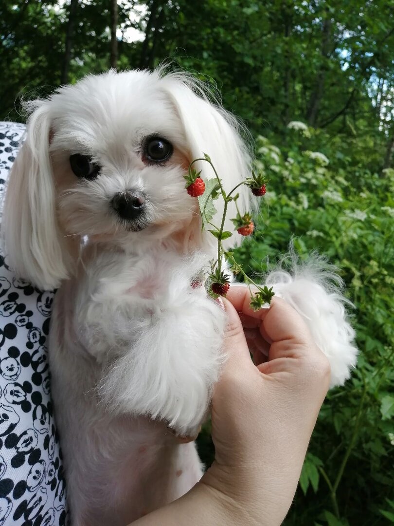 Летом на Селигере 