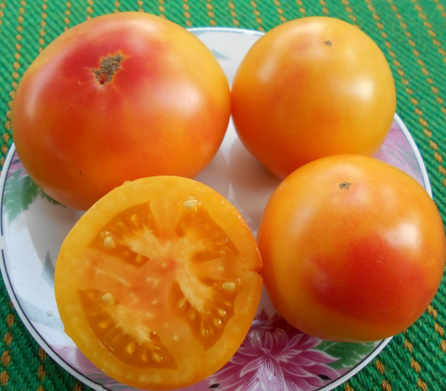 Томат сладкая скарлетт. Томат сладости. Томат сладости. Томат сладкий солано. Томат миллионер f1.