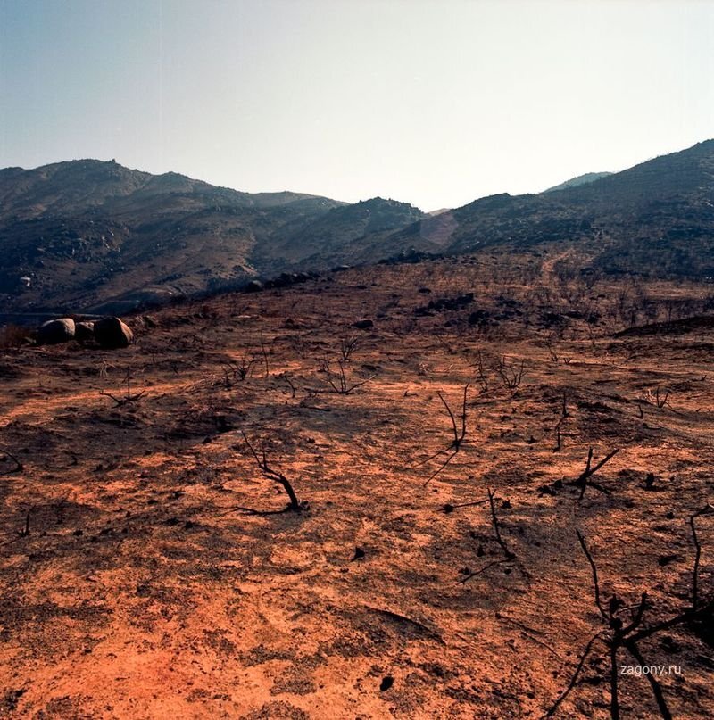 Из открытых источников 