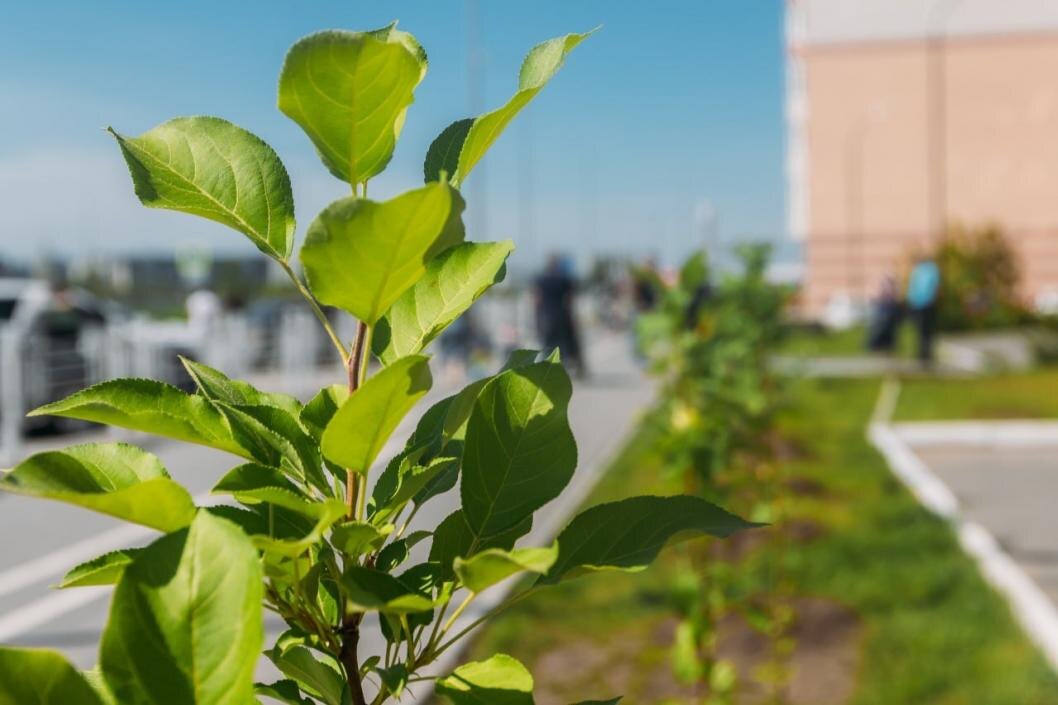 Фото: администрация Тюмени