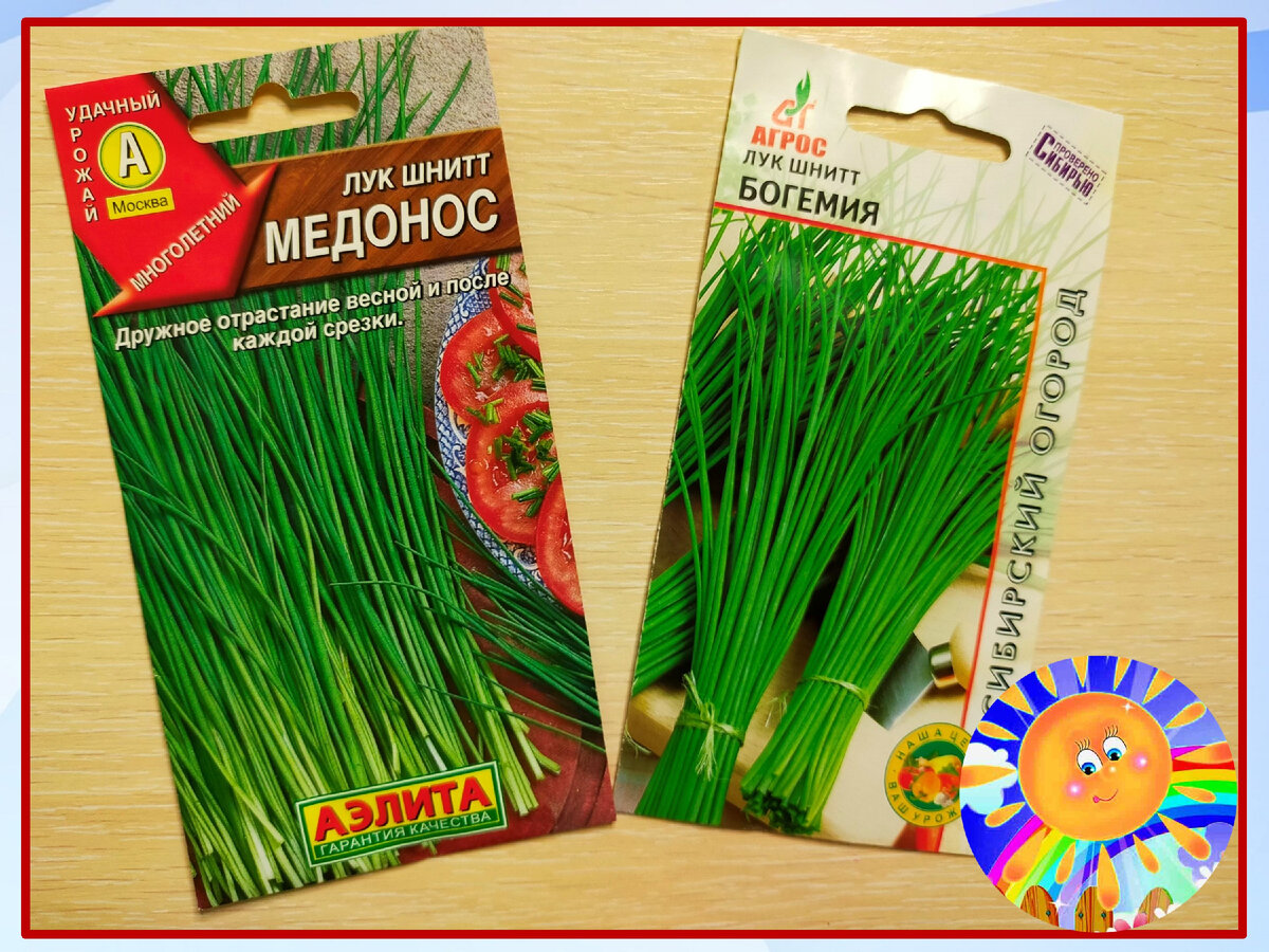 Личный архив
