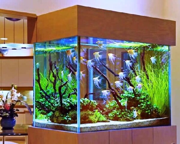 Регулярная очистка и обслуживание