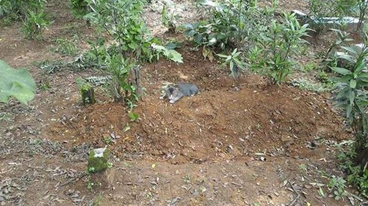 Источник: pinterest.com