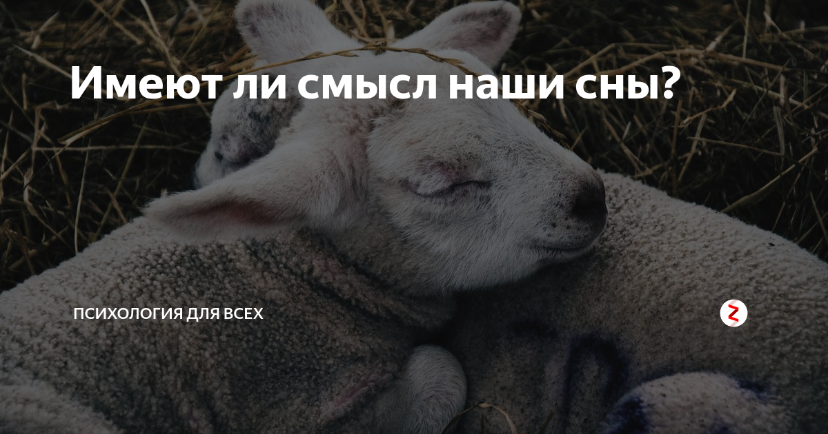 сны психология