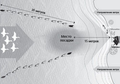 Схема расстановки чучел уток весной