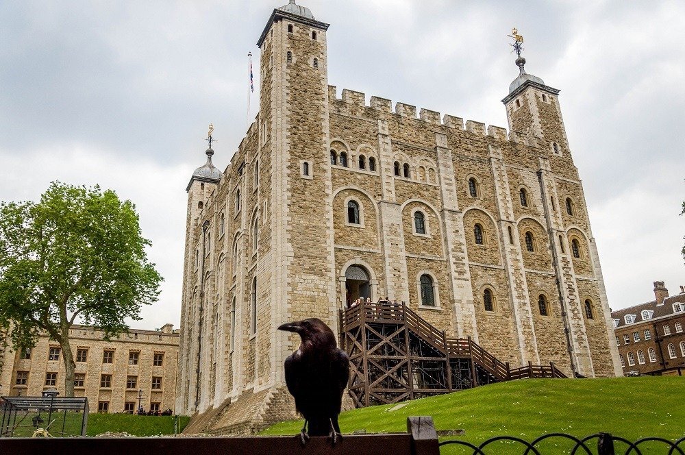 The tower of london has. Тауэр Tower of London. Тауэр в Лондоне вороны. Шесть Воронов Тауэр Англия. Tower of London с воронами.