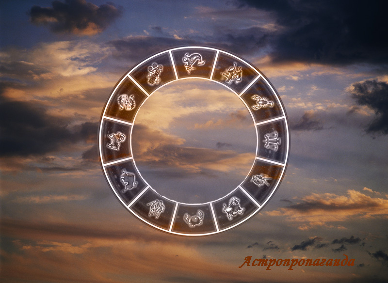 Коллаж Нины Стрелковой. 