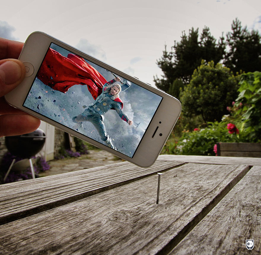 Фото: boredpanda.com. Фотограф Франсуа Дурлен (Francois Dourlen).