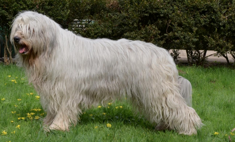 ставим пальцы вверх за челку! 😜